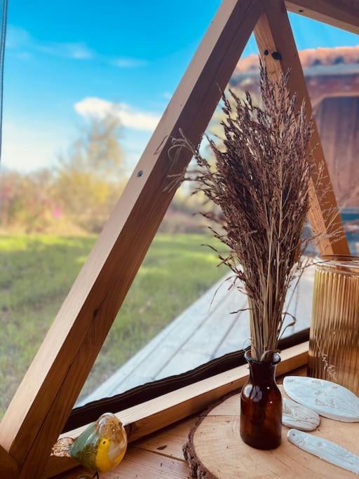 Dome Insolite Cedre Jacuzzi Et Petits Dejeuners Inclus Lagraulet-du-Gers Dış mekan fotoğraf